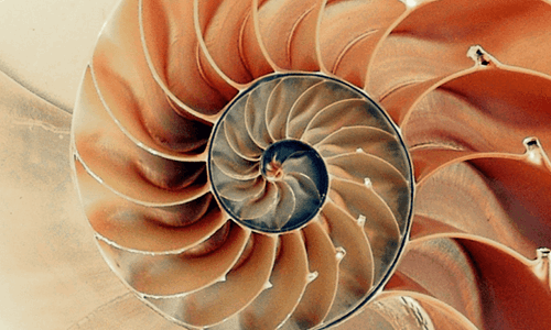 Business Agility