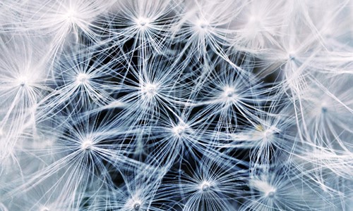 Remove the Complexity from Microsoft's Power Platform