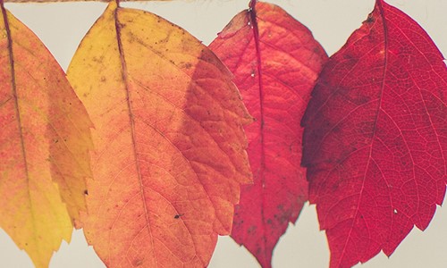 Change Management