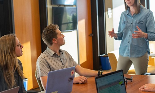 Expert support for Microsoft Project
