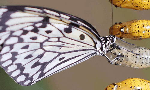 Digital Transformation