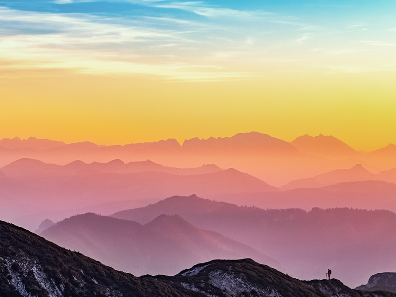 Using Viva Insights for Complete Business Clarity